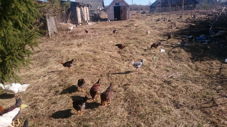 Similar image 22027215