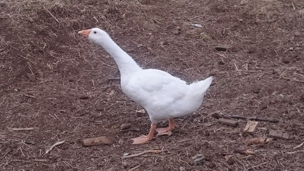 Similar image 22027217