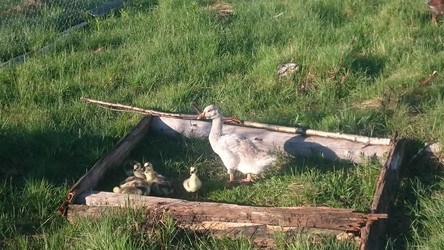 Similar image 22027218