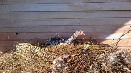 Similar image 22027219