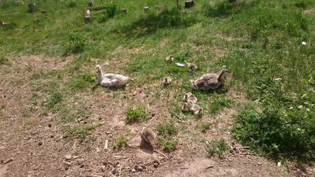 Similar image 22027220