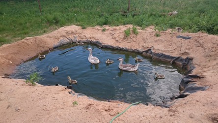 Similar image 22027221