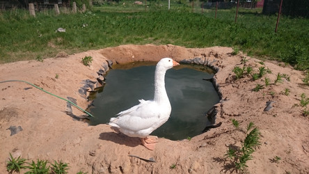 Similar image 22027224