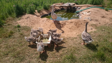 Similar image 22027226