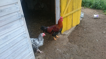 Similar image 22027227