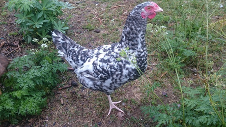 Similar image 22027228