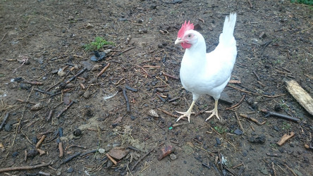 Similar image 22027229