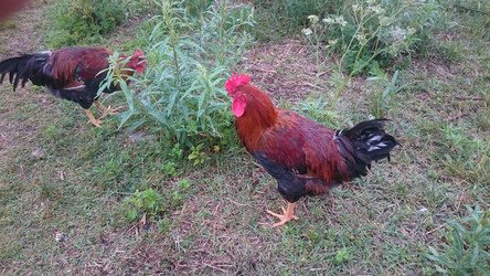 Similar image 22027230