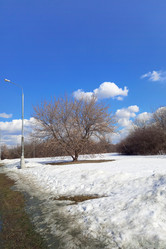 Similar image 22032092