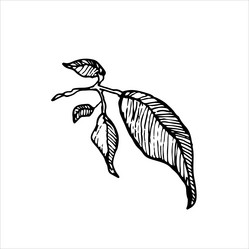 Similar image 22038456