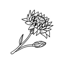 Similar image 22038465