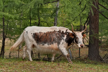 Similar image 22031256