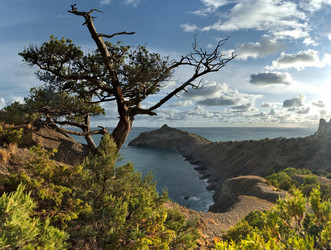 Similar image 22036767