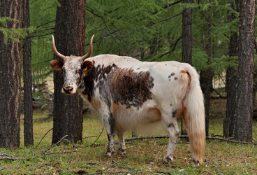 Similar image 22031257