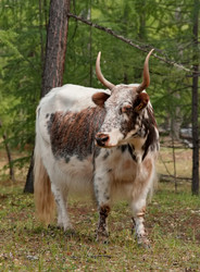 Similar image 22031258