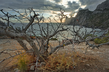 Similar image 22036768