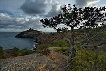 Similar image 22036769