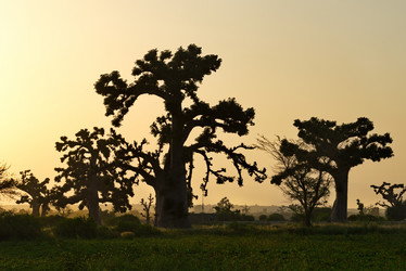 Similar image 22025500