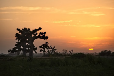 Similar image 22025501