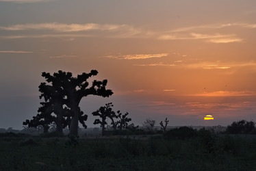 Similar image 22025502