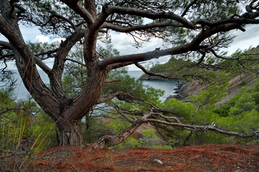 Similar image 22036772