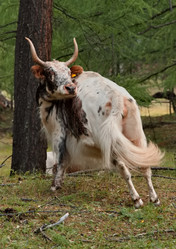 Similar image 22031259