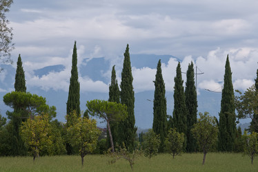 Similar image 22049980