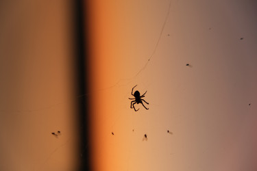 Similar image 22031260