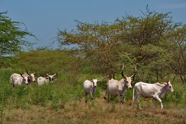 Similar image 22042677