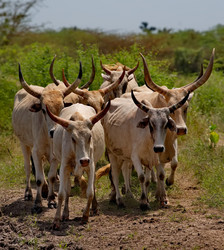 Similar image 22042678