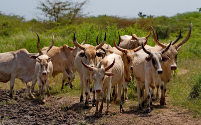 Similar image 22042679