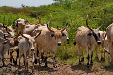 Similar image 22042680