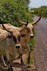 Similar image 22042682