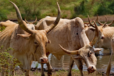 Similar image 22042684