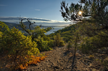 Similar image 22036777