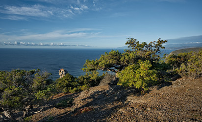 Similar image 22036778