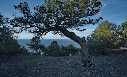 Similar image 22036779