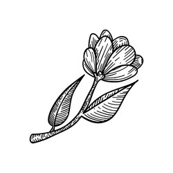 Similar image 22038472