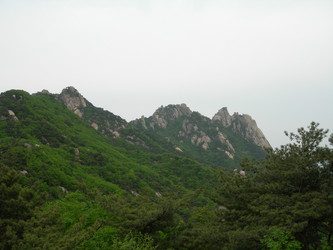 Similar image 22027239