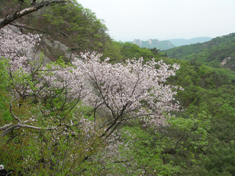 Similar image 22027253