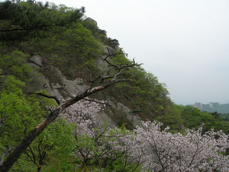 Similar image 22027254