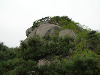 Similar image 22027258