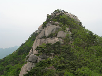 Similar image 22027261