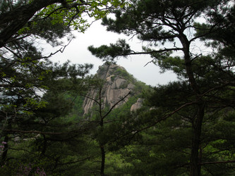 Similar image 22027263