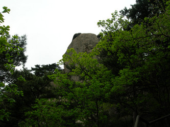 Similar image 22027265