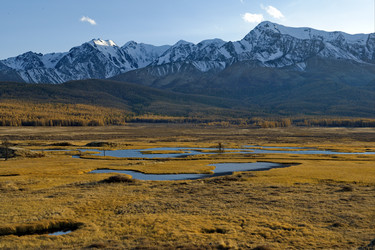 Similar image 22042688