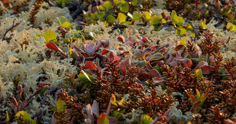 Similar image 22025626