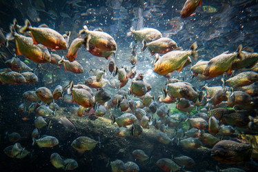 Similar image 22025628