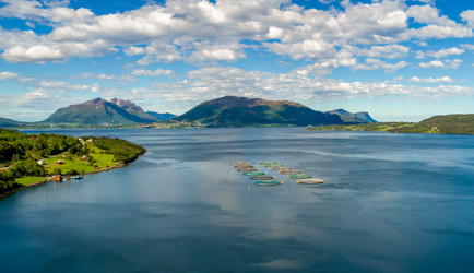 Similar image 22025635