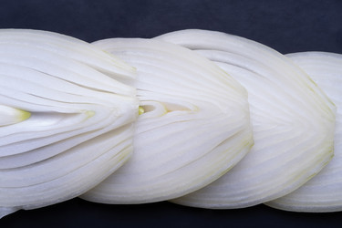 Similar image 22025823